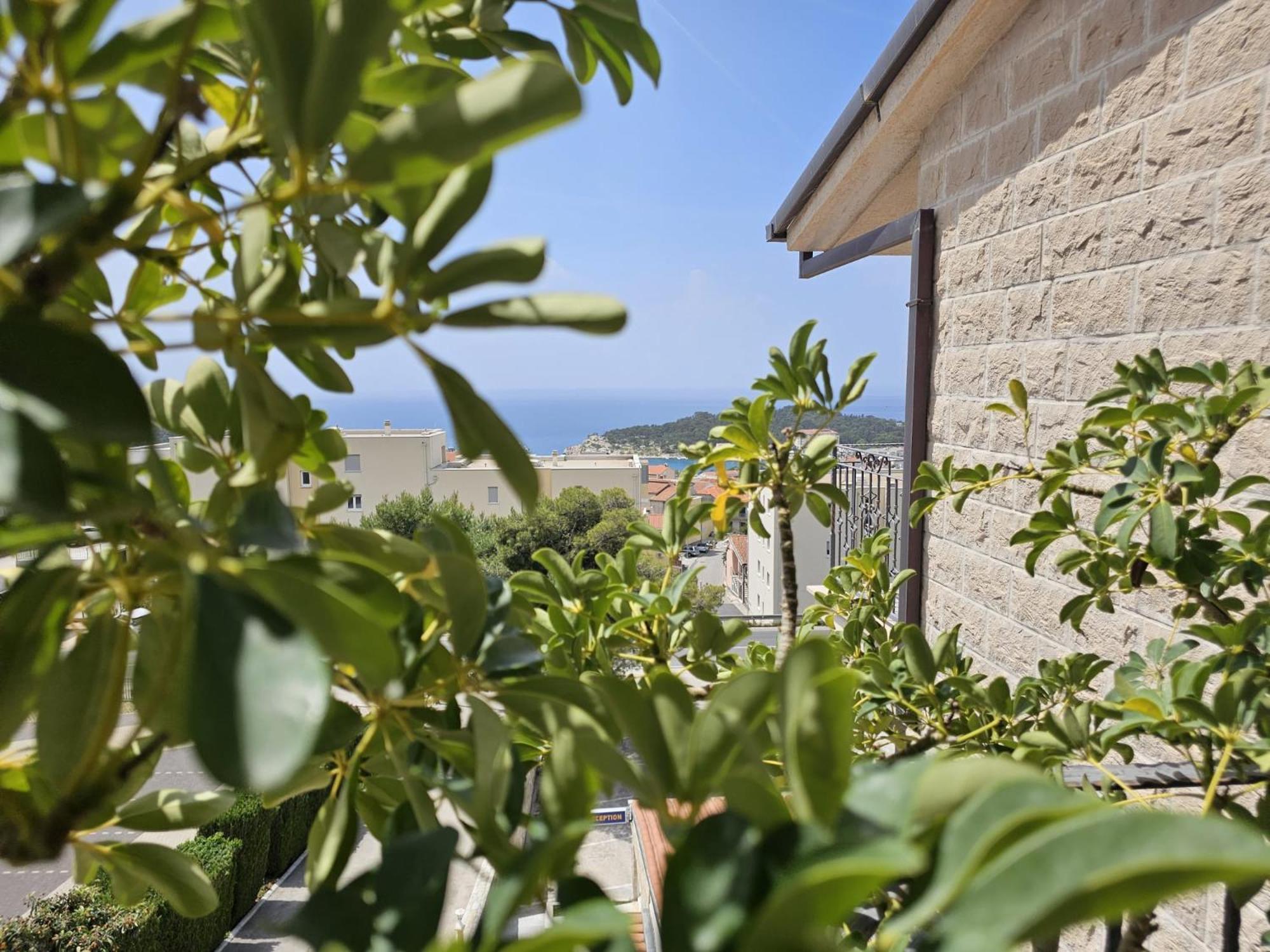 Guesthouse Komfor Moča Makarska Eksteriør billede